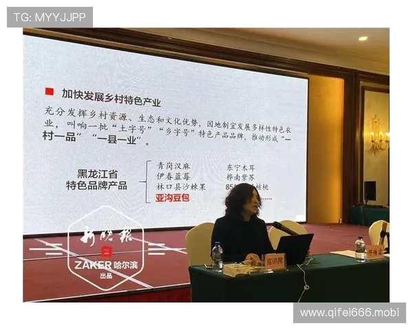 新时代背景下乡镇企业家创新驱动与乡村经济高质量发展路径研究