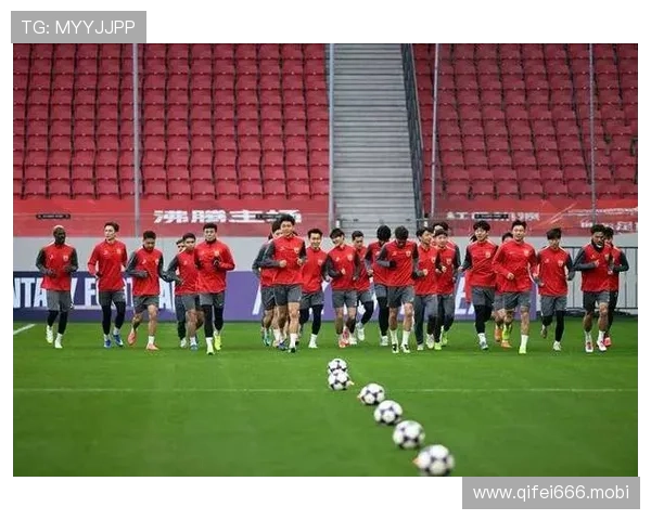 官方确认法加尼执哨蓉城战町田